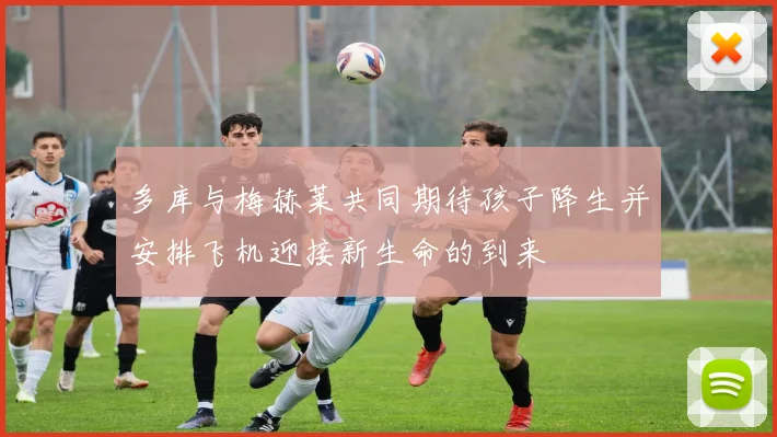多库与梅赫莱共同期待孩子降生并安排飞机迎接新生命的到来